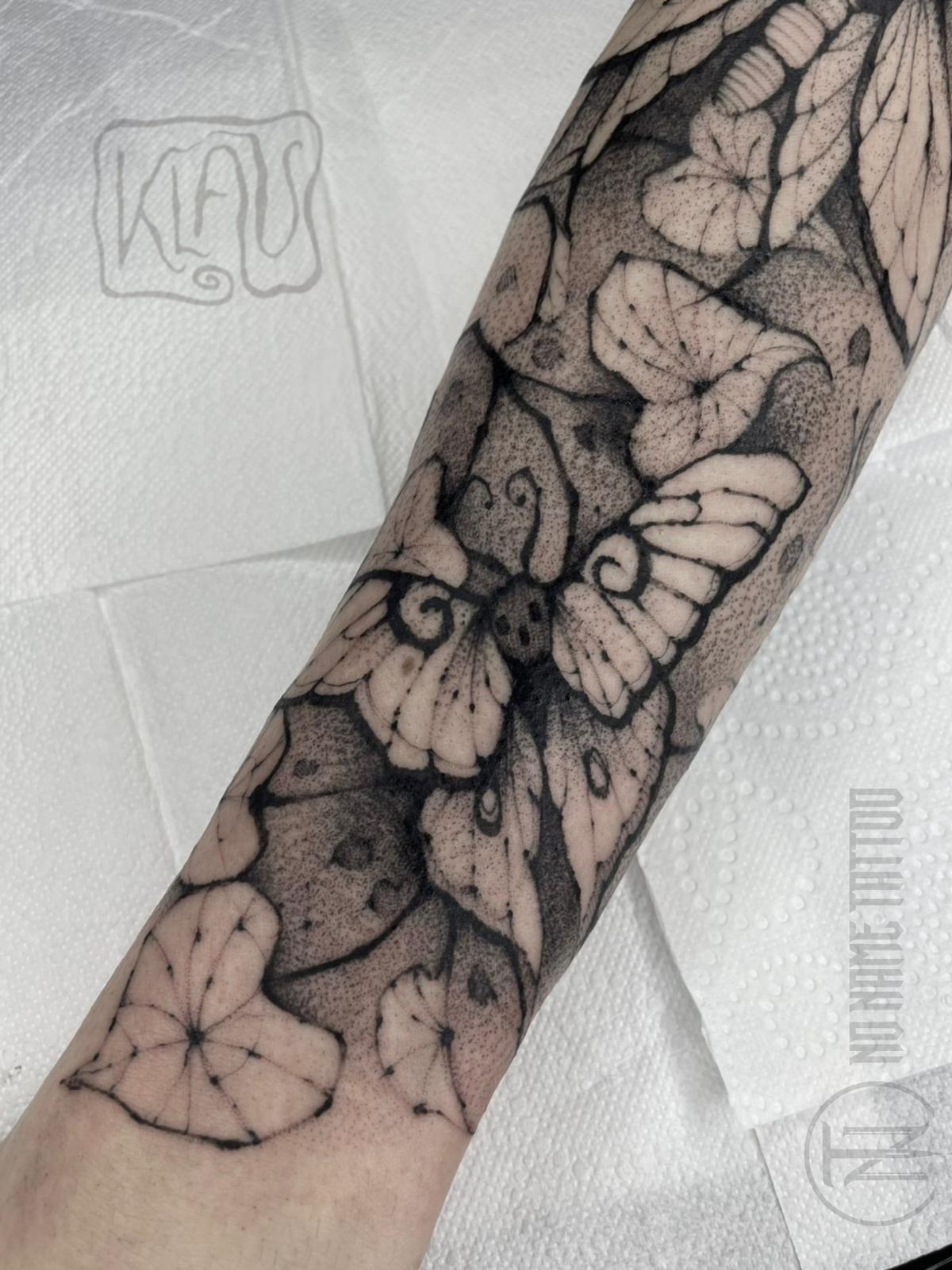 Klau (2)