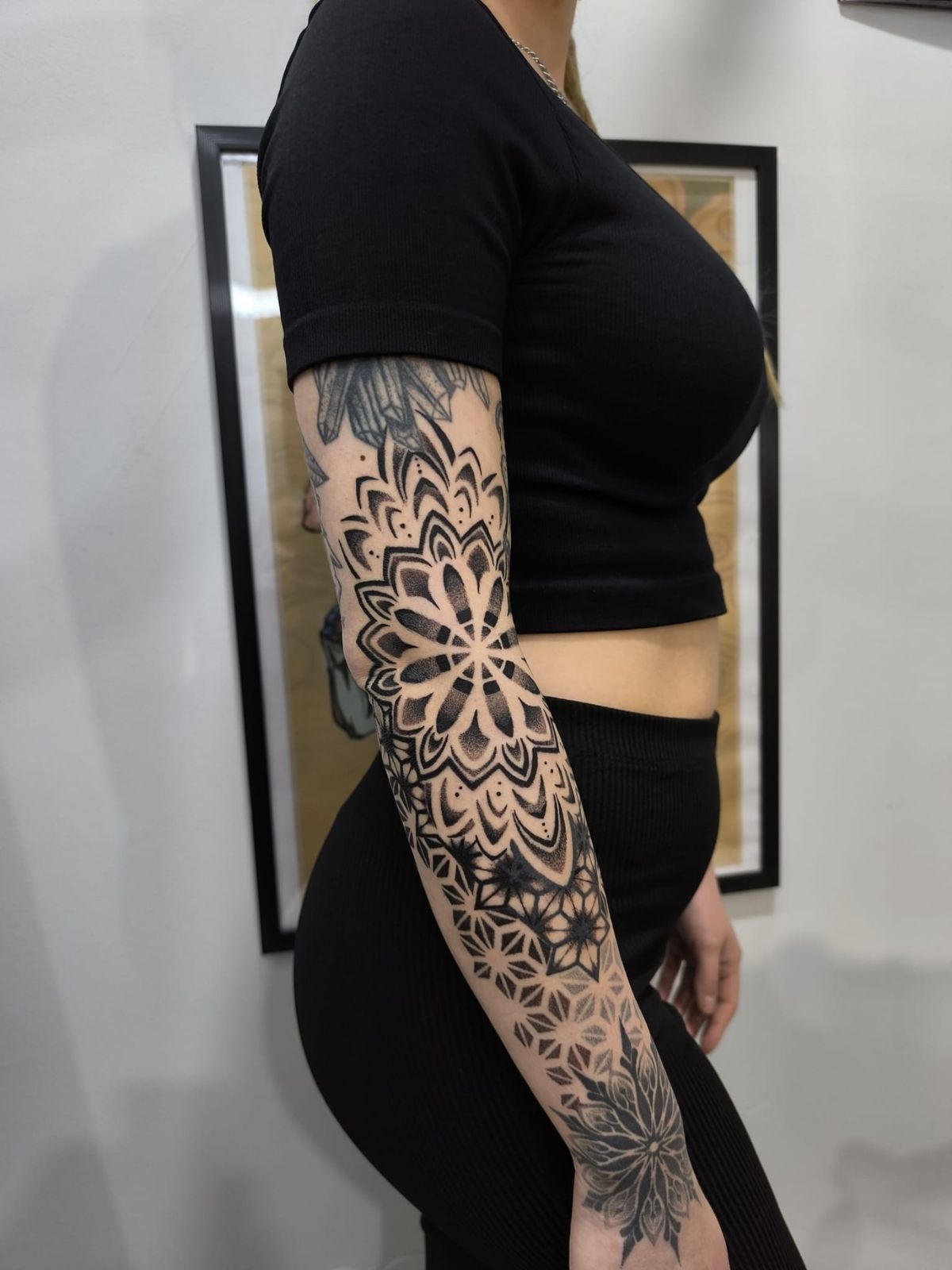 Zibra (4)